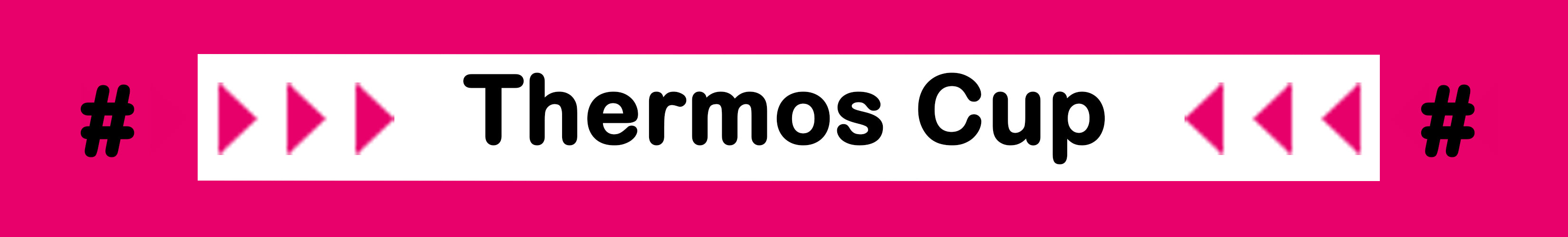 Thermos Cup